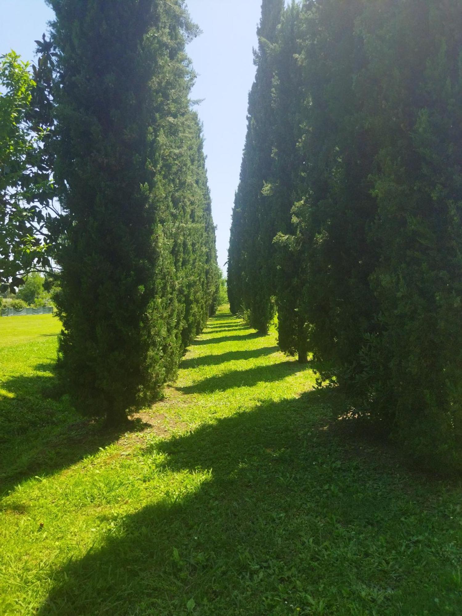Villa Fontana Capannori Kültér fotó